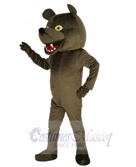 Grizzly Bear mascot costume