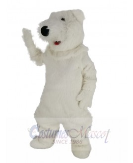 Polar Bear mascot costume