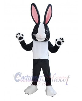 Easter Bunny Rabbit mascot costume