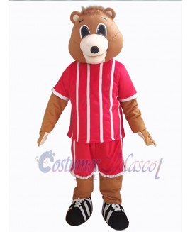 Bear mascot costume