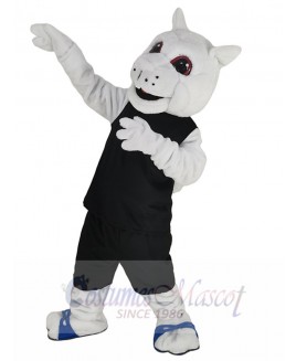 Squirrel mascot costume