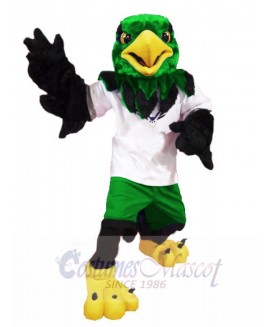 Hawk mascot costume