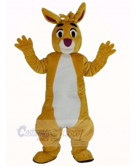 Funny Yellow Rabbit Mascot Costume Animal