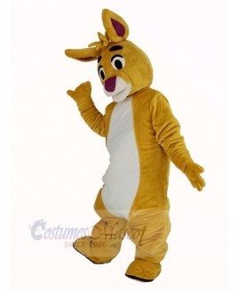 Funny Yellow Rabbit Mascot Costume Animal