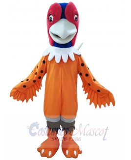 Pheasant mascot costume