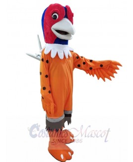 Pheasant mascot costume