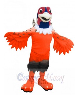 Pheasant mascot costume