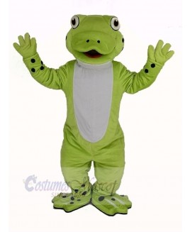 Cute Happy Frog Mascot Costume