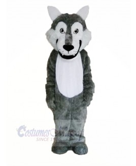 Cute Gray Wolf Mascot Costumes Cartoon