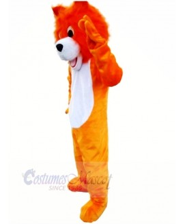 Friendly Orange Wolf Mascot Costumes Cartoon