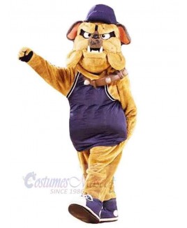 Dog mascot costume