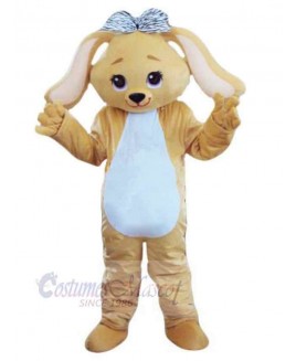 Dog mascot costume