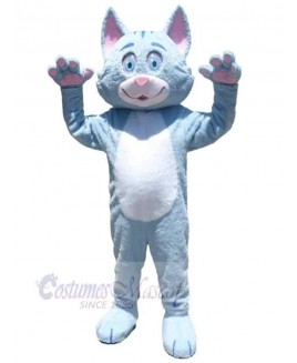 Cat mascot costume