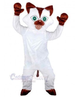 Cat mascot costume