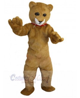 Cat mascot costume