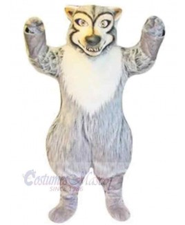 Wolf mascot costume