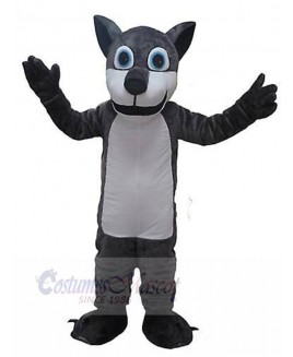 Wolf mascot costume