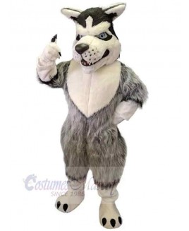 Wolf mascot costume