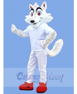 Wolf mascot costume