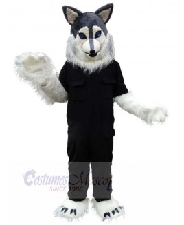 Wolf mascot costume