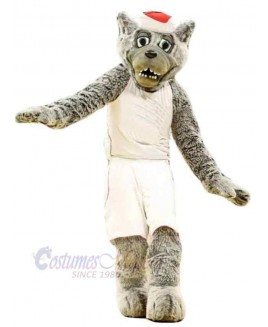 Wolf mascot costume