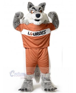 Wolf mascot costume