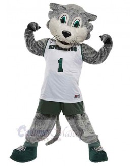 Wolf mascot costume