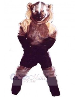 Wolf mascot costume