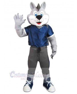 Wolf mascot costume