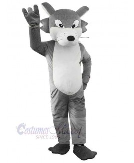 Wolf mascot costume