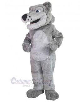 Wolf mascot costume