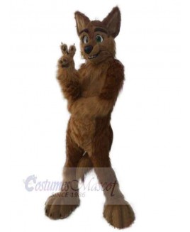 Wolf mascot costume