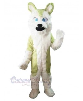 Wolf mascot costume