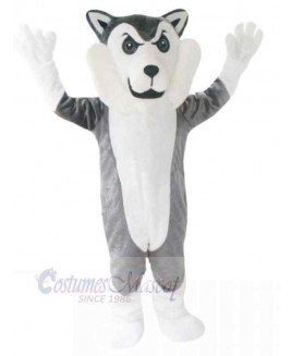 Wolf mascot costume