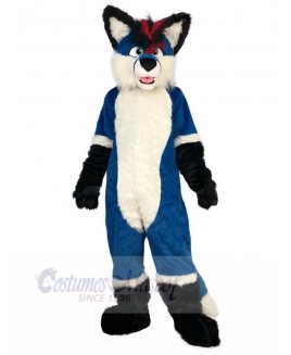 Wolf mascot costume