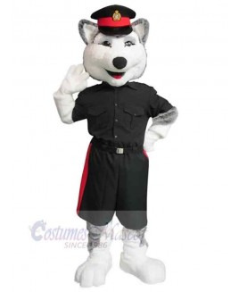 Wolf mascot costume