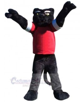 Panther mascot costume