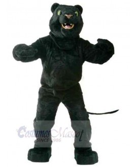 Panther mascot costume