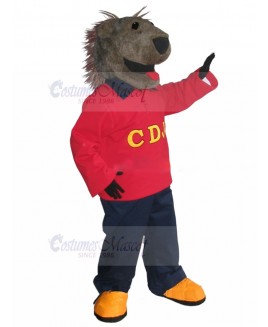 Dog mascot costume