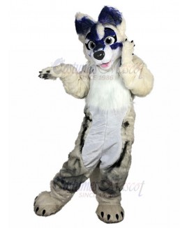 dog mascot costume