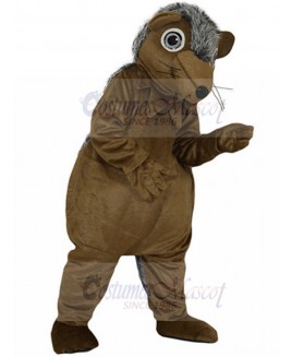 Hedgehog Mascot Costume