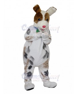 dog mascot costume