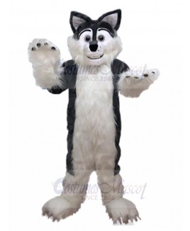 wolf mascot costume