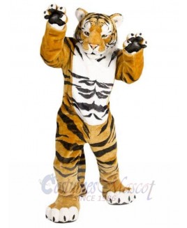 Tiger mascot costume