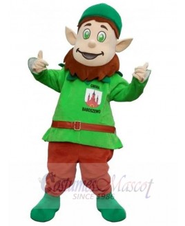 Leprechaun mascot costume