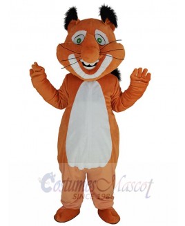 Squirrel mascot costume