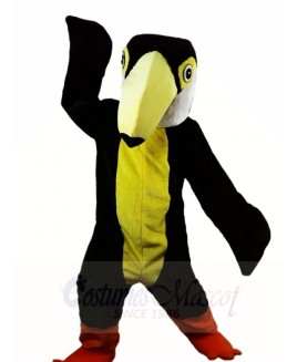 Tucan Bird Woodpecker Mascot Costumes Animal