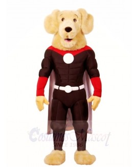 A Retriever Dog Super Hero Mascot Costumes Animal