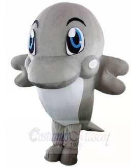 Grey Dolphin Mascot Costumes Ocean 