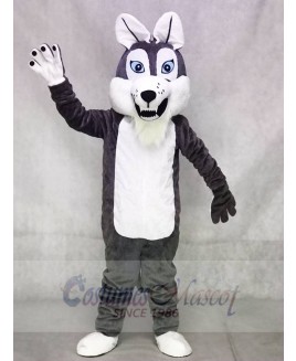 Grey Gray Long-haired Wolf Mascot Costumes Animal